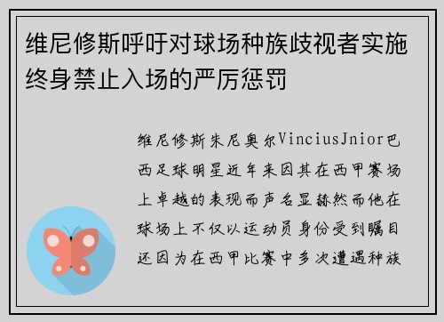 维尼修斯呼吁对球场种族歧视者实施终身禁止入场的严厉惩罚